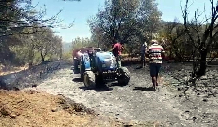 Datça'da çıkan orman yangınında 1 hektarlık alan zarar gördü -5