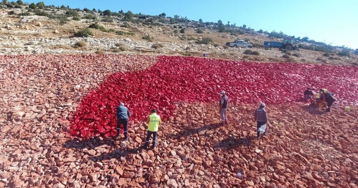 Zemine işlenmiş en büyük Türk bayrağı boyanıyor -4