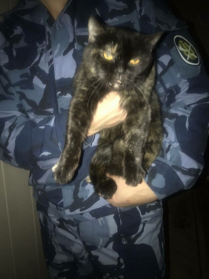 Rusya’da cezaevi içinde uyuşturucu taşıyan kedi yakalandı