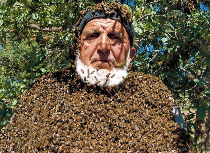 Üzerine 50 bin arı konuyor, maskesiz çalışıyor -1