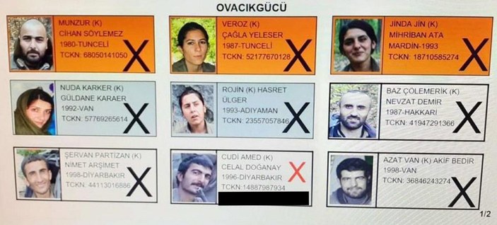 Tunceli'de etkisiz hale getirilen 9 terörist, çok sayıda terör eylemine katılmış -1