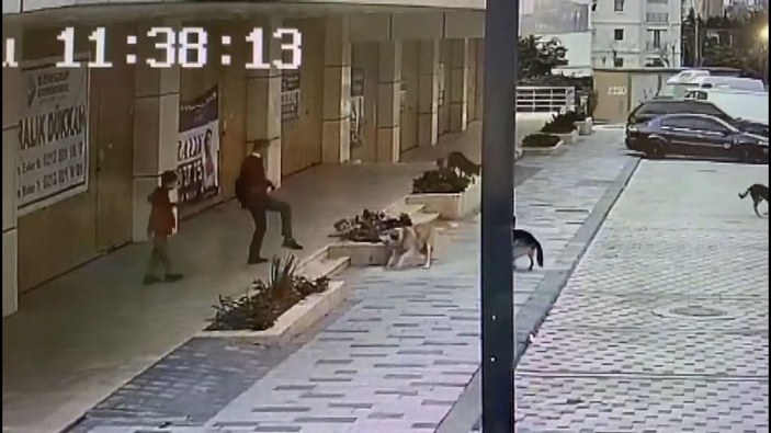 Avcılar'da babasıyla servis bekleyen çocuğa sokak köpekleri saldırdı -3
