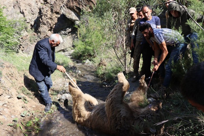 Hayvanlarını götürdüğü arazide ayı saldırısında öldü -7