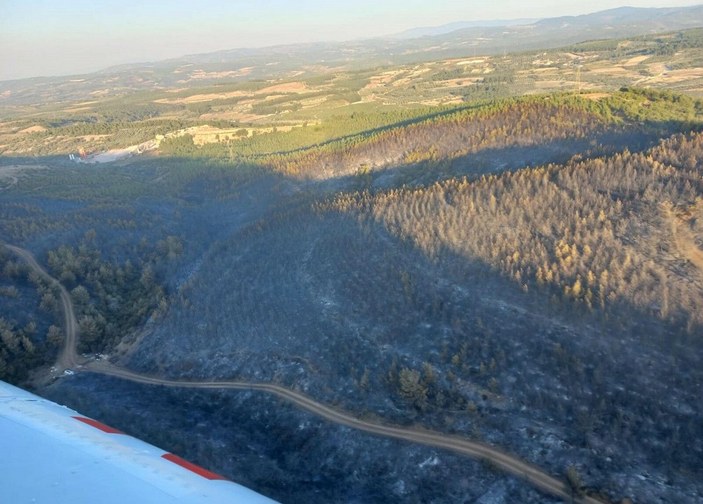 Soma'daki 16 saatlik orman yangınında 60 hektar alan zarar gördü -2