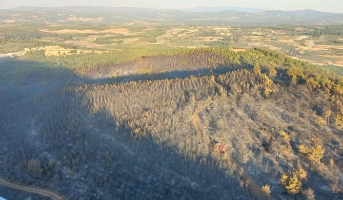 Soma'daki 16 saatlik orman yangınında 60 hektar alan zarar gördü -3