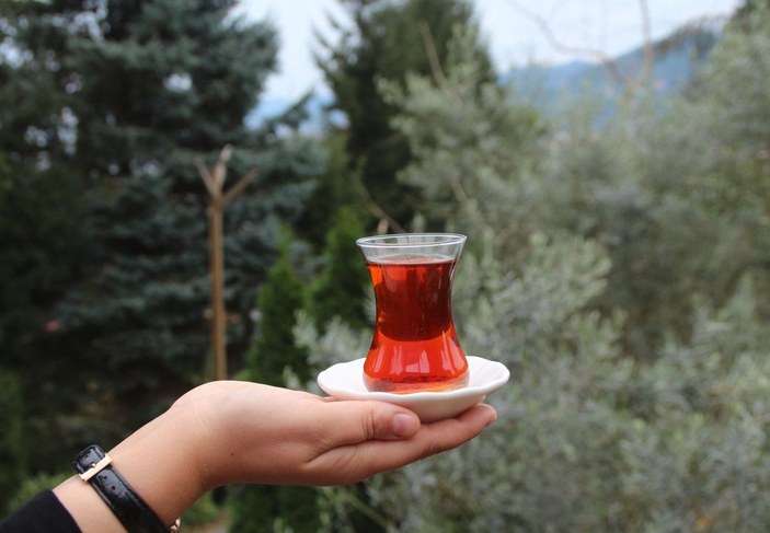 'Türk çay kültürü', UNESCO listesinde -3