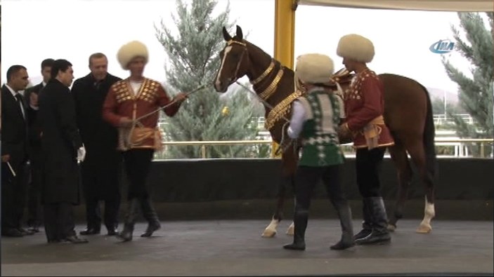 Türkmenis'tan da Cumhurbaşkanı Erdoğan'a at hediye edildi