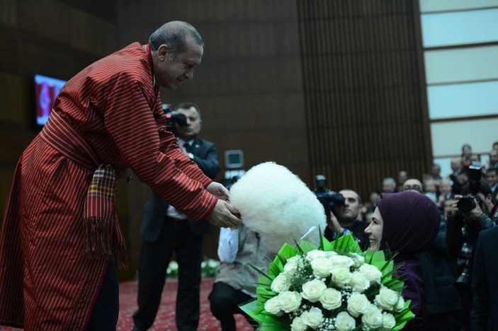 Erdoğan'a fahri profesörlük unvanı verildi