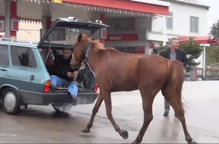Edirne'de bir kişi atı otomobilin arkasında sürükledi