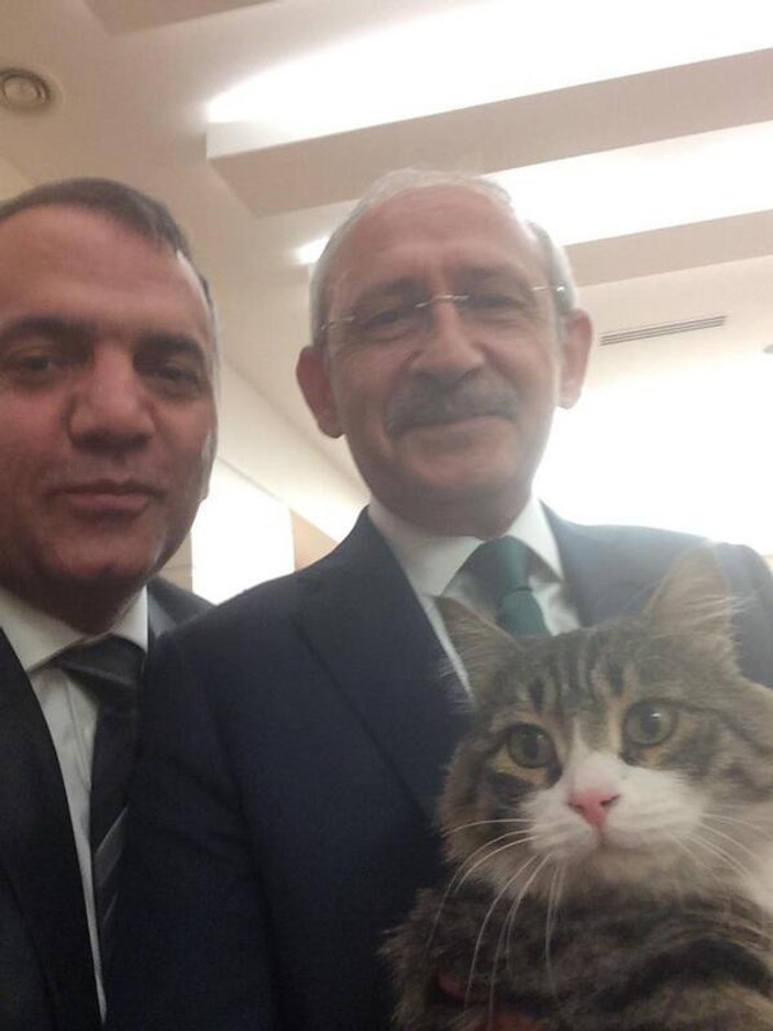 CHP'nin temsilcisi kedi Şero olacak