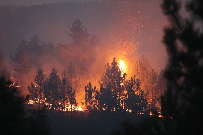Kütahya'daki orman yangını Bilecik'e sıçradı