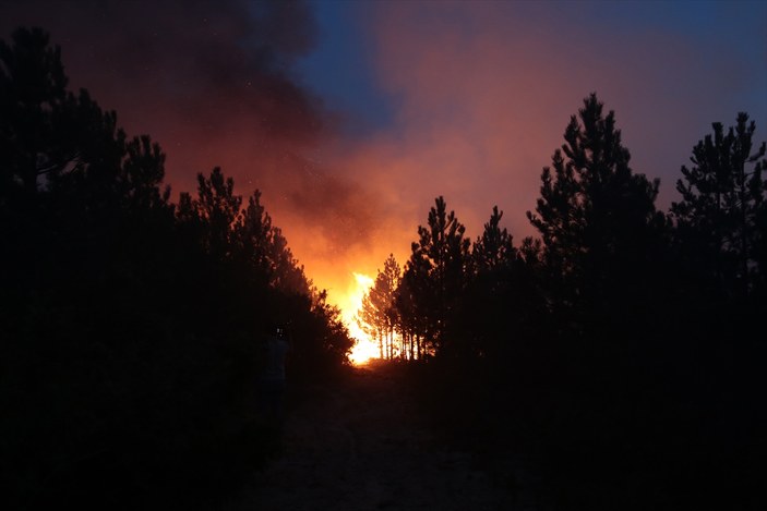 Kütahya'daki orman yangını Bilecik'e sıçradı