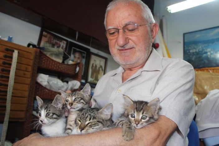 72 yaşındaki terzi, 25 sokak kedisine bakıyor