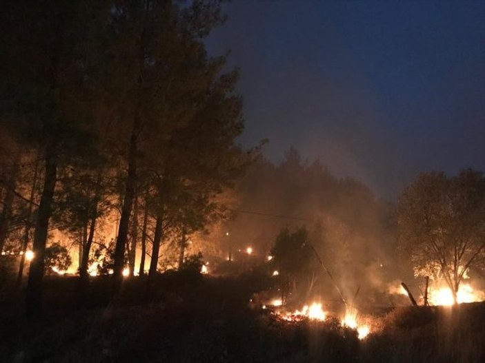 Muğla'da orman yangını durduruldu