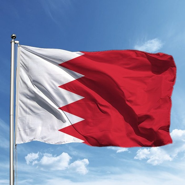 BAE ve Bahreyn, Türkiye'yi kınadı