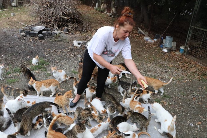 Samsun'da hayvanların kraliçesi 150 hayvana bakıyor
