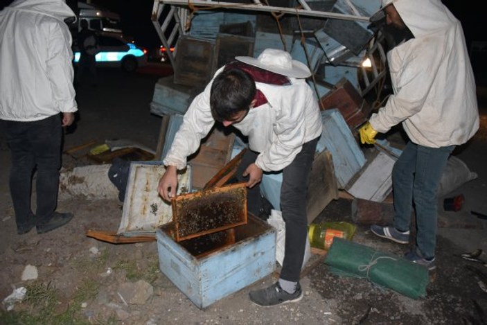 Şanlıurfa'da arı kovanları taşıyan kamyonet tırla çarpıştı
