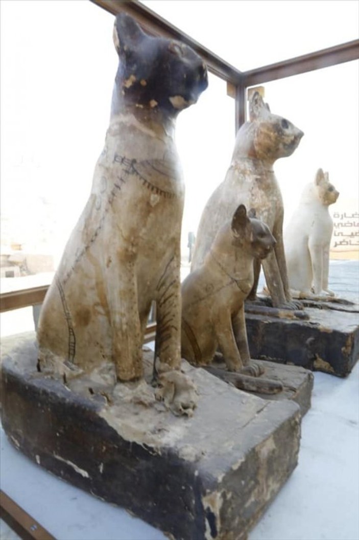 Mısır'da kedi mumyası bulundu
