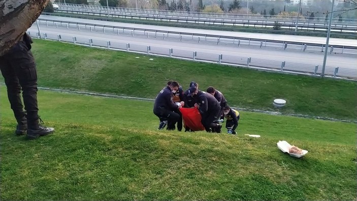 Beşiktaş'ta çimenlikte kahvaltı yapan adam vuruldu