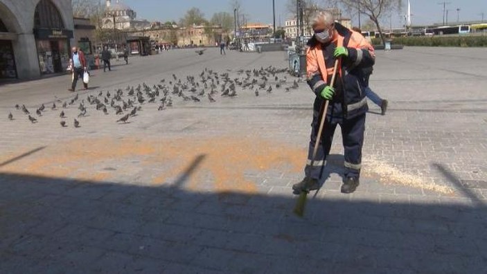 İstanbul'da bir sürücü güvercinleri öldürdü
