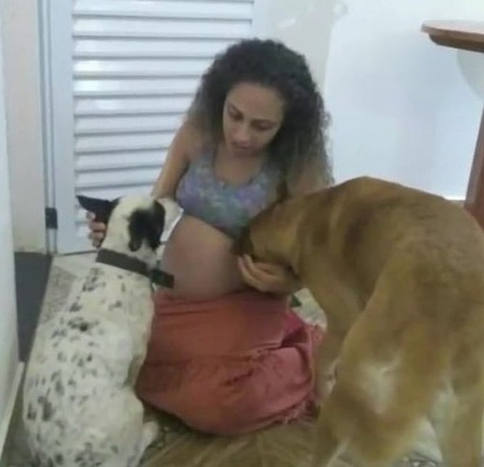 Brezilya’da ikiz bebekler köpek saldırısında öldü