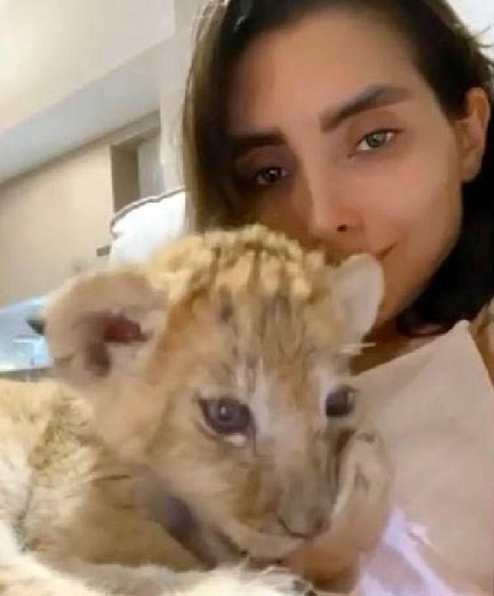 İranlı modele hediye edilen aslan, Gaziantep'te