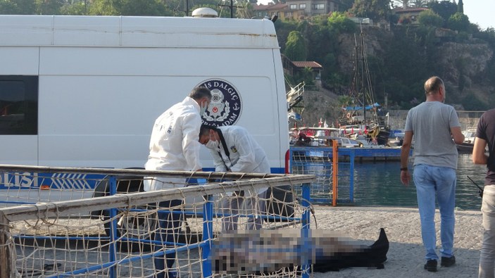 Antalya'da balıkçılar caretta caretta sandı: Ceset çıktı