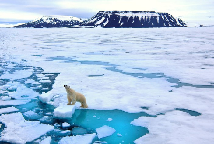 Dünyada 1994'ten bu yana 28 trilyon ton buzul eridi