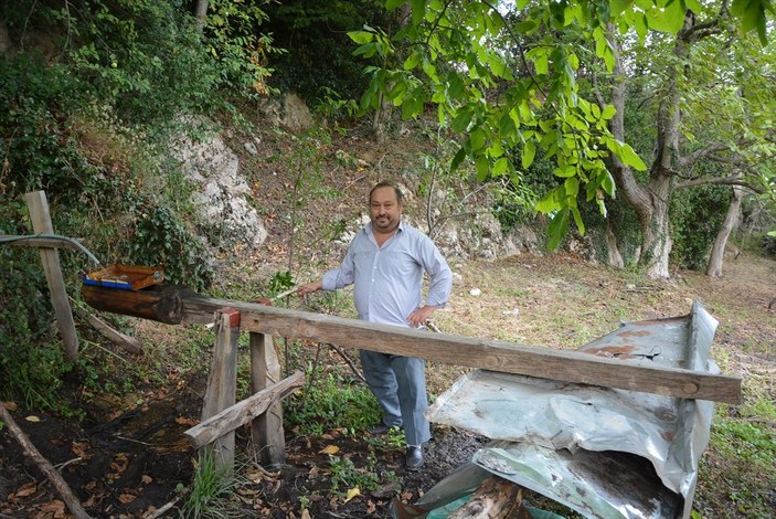 Kastamonu'da köy imamı ‘ayısavar’ yaptı