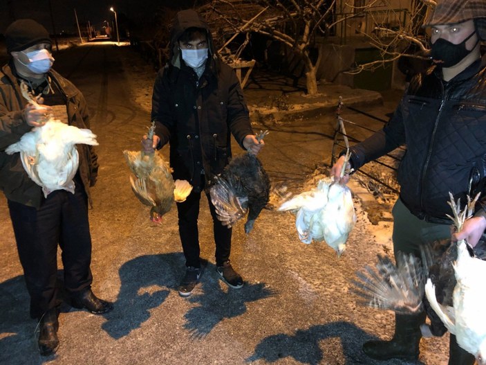 Konya'da şüphelinin sırtındaki çuvaldan çaldığı 10 tavuk çıktı