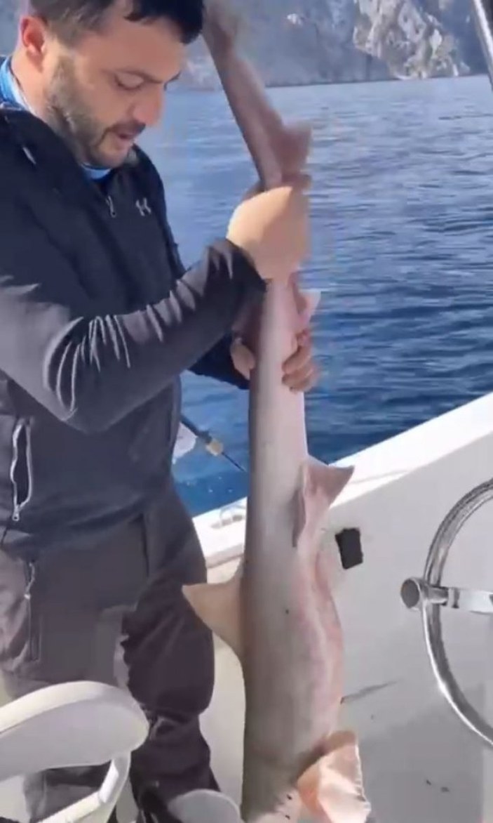 Antalya'da balıkçıların oltasına köpek balığı takıldı