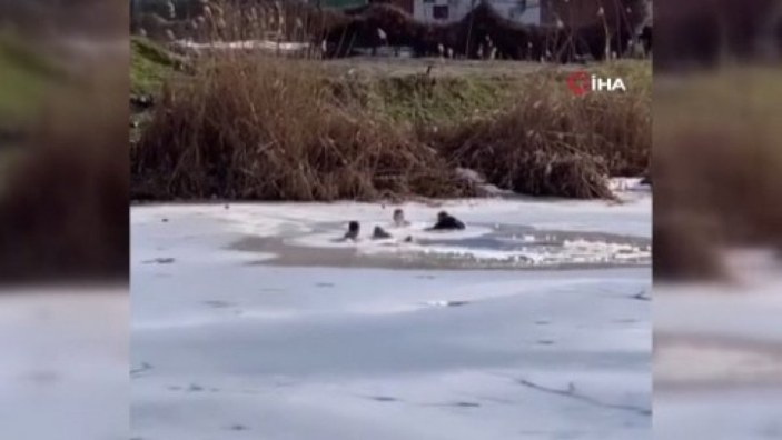 Rusya'da buz tutan göle düşen çocukları kurtarırken kendileri de göle düştü