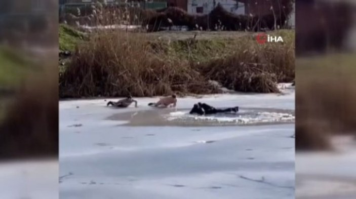 Rusya'da buz tutan göle düşen çocukları kurtarırken kendileri de göle düştü
