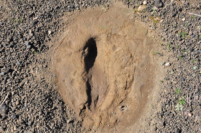 Manisa'da 5 bin yıllık ayak izi