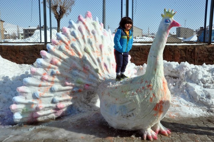 Yüksekova'daki kardan 'tavus kuşu' ilgi çekti
