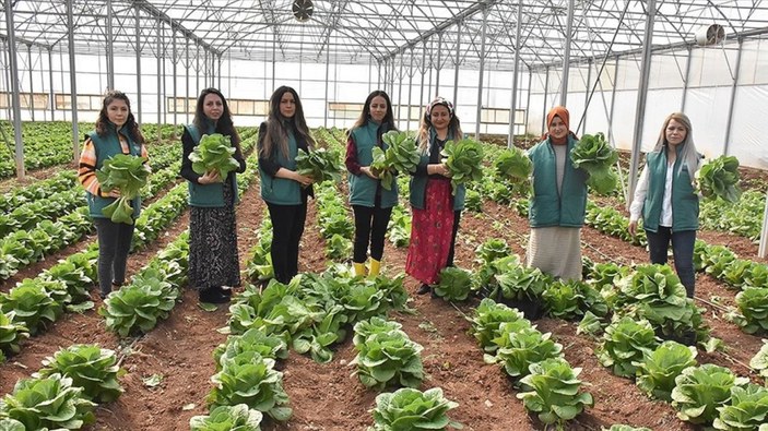 Gaziantep'te tarım eğitimi alan 7 kadın kooperatif kurdu