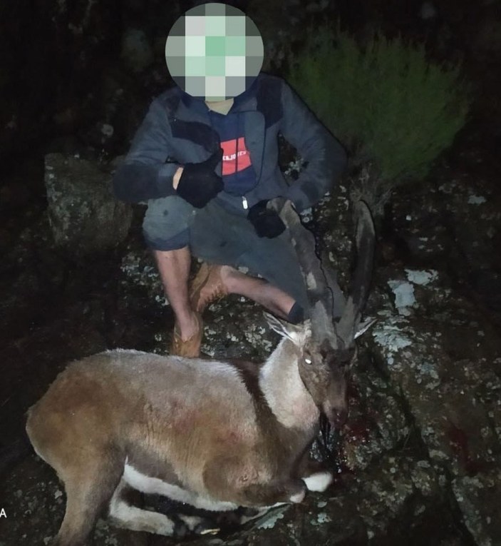 Denizli'de dağ keçisi avlayan 6 kişiye ceza