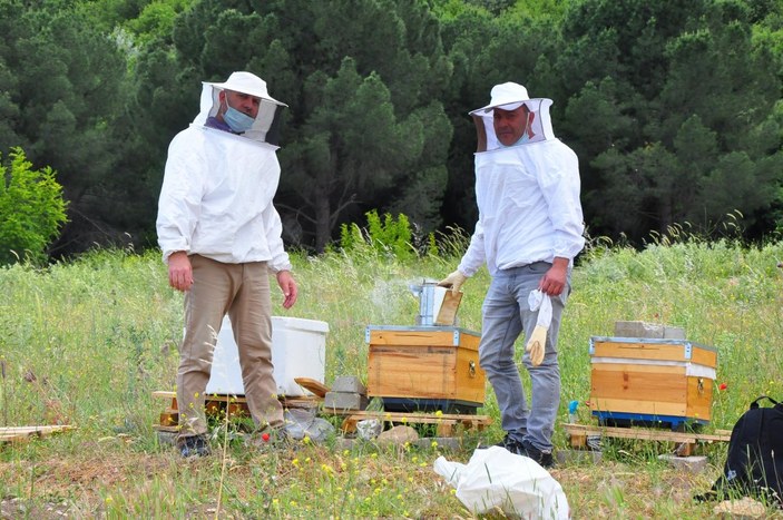 Manisa'da kovanlar, içindeki arılarla birlikte çalındı
