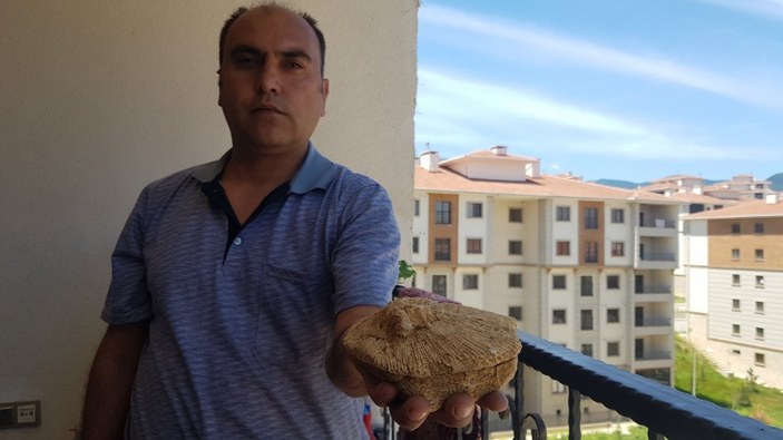 Karabük'te bulduğu taş 45 milyon yıllık fosil çıktı