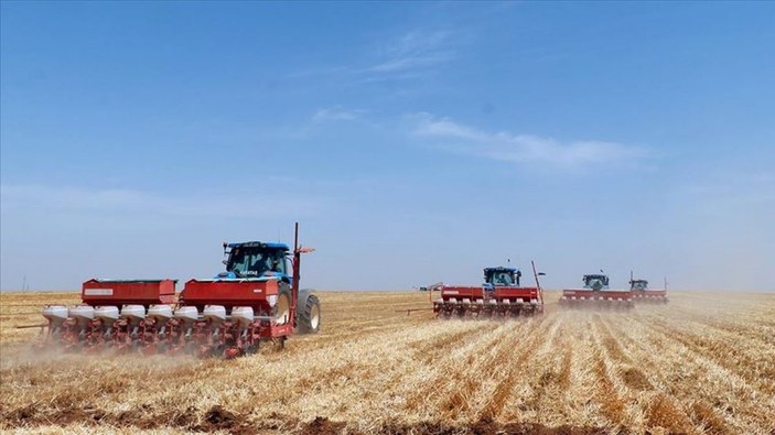 TMO, buğday fiyatlarını açıkladı