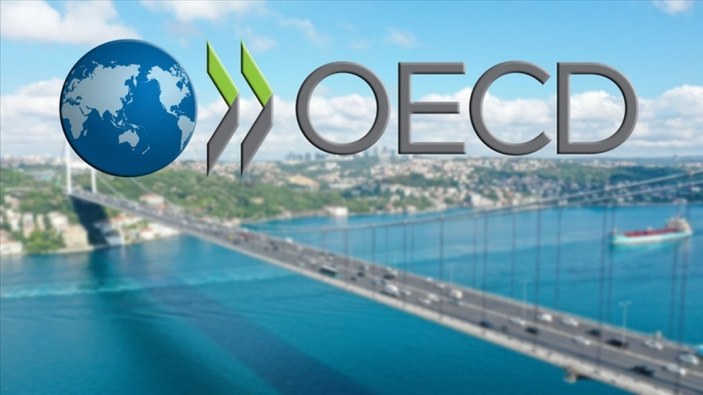 OECD ülkeleri arısında en çok Türkiye ekonomisi büyüdü
