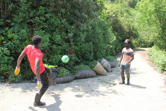 Rize'deki Afrikalı çay işçilerinin futbol eğlencesi
