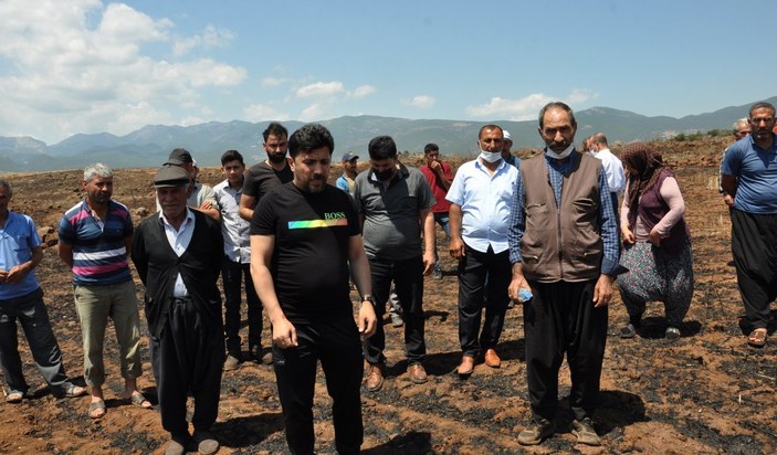 Gaziantep'te buğday ekili tarla küle döndü