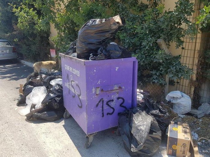 CHP'nin yönetimindeki Çeşme'de 'çöp krizi'