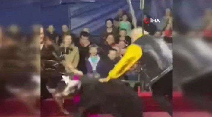 Rusya’da sirkteki ayı, terbiyecisine saldırdı