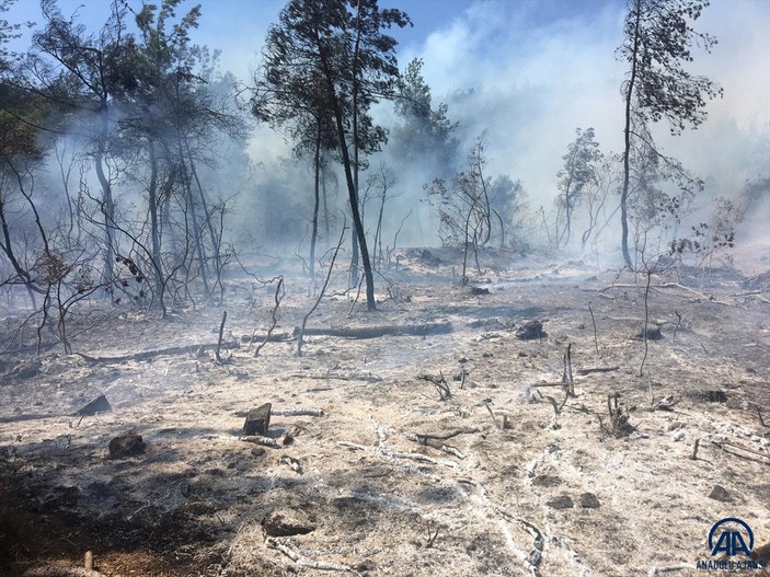 Bilecik'teki orman yangını kontrol altına alındı