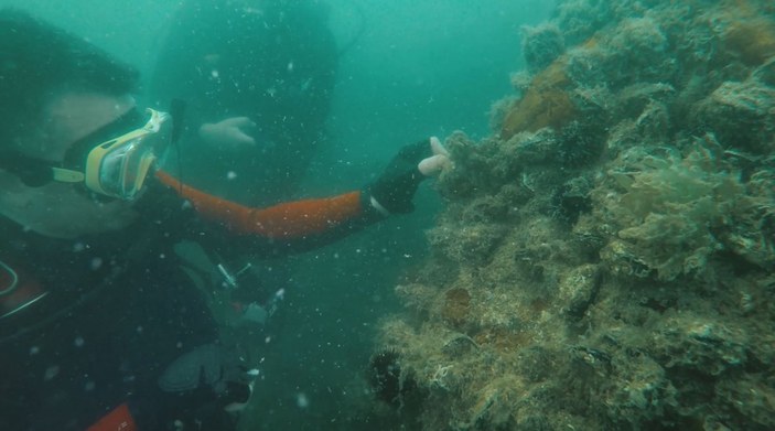 Bekir Pakdemirli, Marmara Denizi'ne dalış yaparak hayalet ağ çıkardı