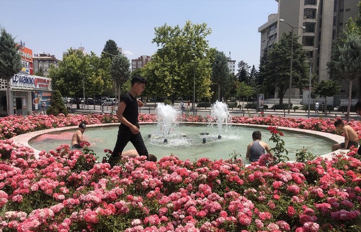 Konya'da süs havuzunda tehlikeli serinlik