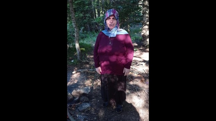 Bursa'da yaşlı kadın ormanlık alanda kayboldu
