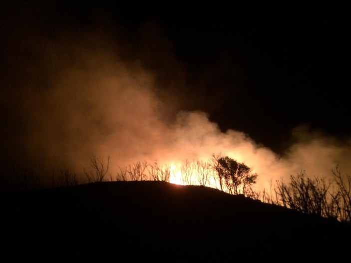 Muğla'da 10 hektarlık alanda yangın çıktı